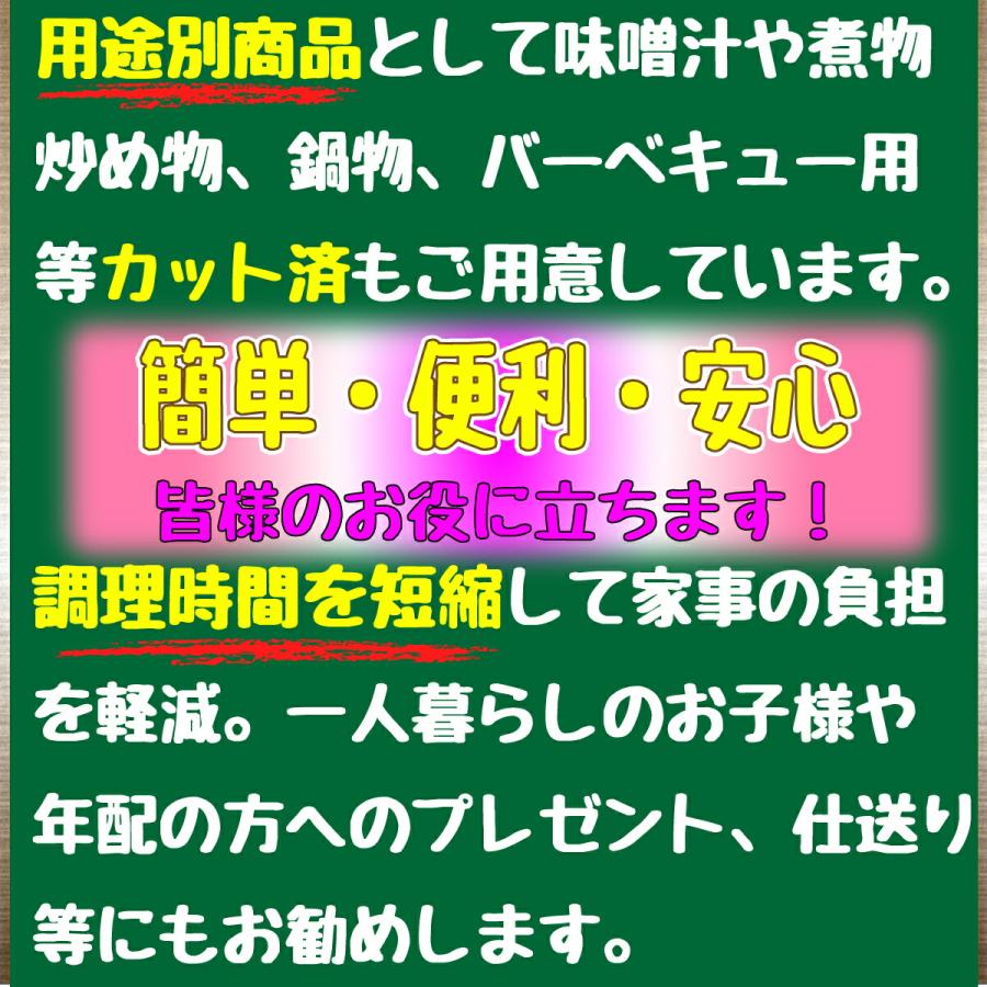 時短食材 野菜セット6品  送料無料 カット野菜 送料込 通販 野菜セット 野菜詰め合わせ 