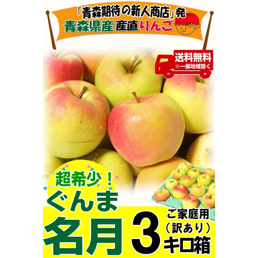 クーポンで200円引き！あすつく 青森 りんご 3kg箱 ぐんま名月 送料無料 家庭用 訳あり 青森 リンゴ 訳あり 3キロ箱★名月 家訳 3kg箱