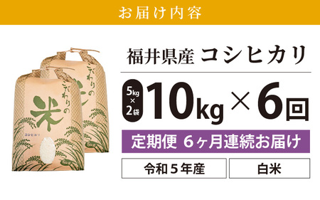 定期便≪6ヶ月連続お届け≫コシヒカリ 10kg × 6回 令和5年 福井県産 [e30-g001]