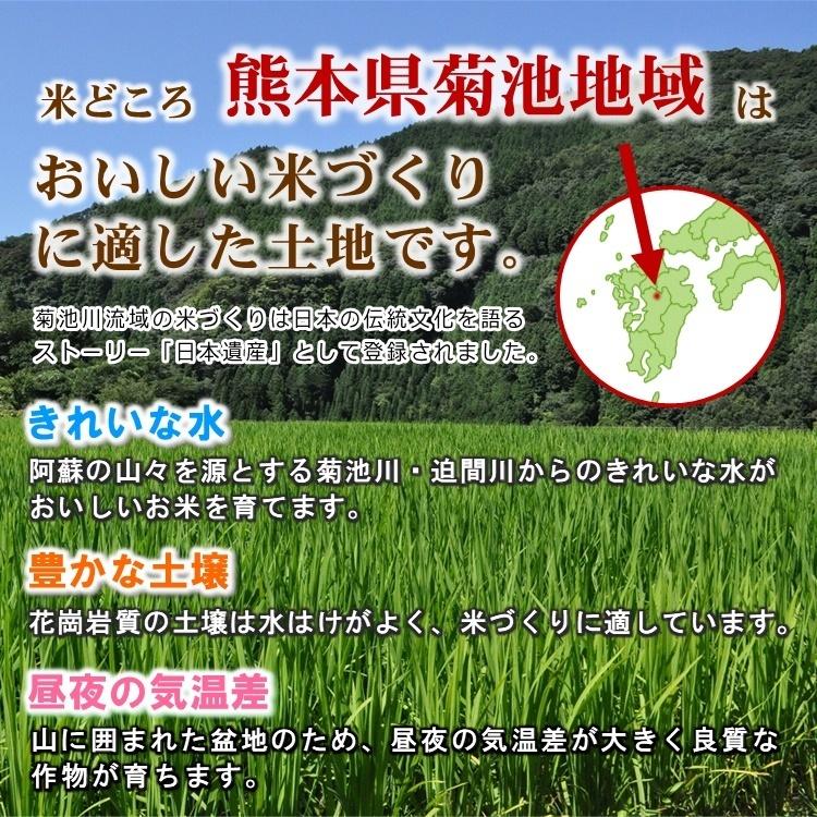 新米 無肥料 自然栽培米 令和5年産 ヒノヒカリ 20kg 農薬化学肥料不使用 白米 玄米 放射能検査済み