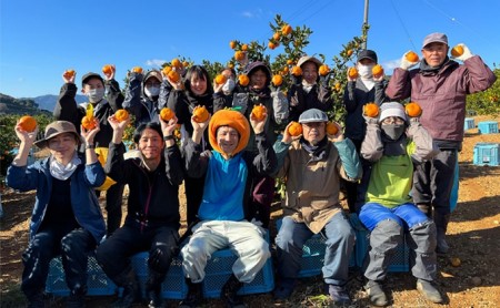 先行予約陽だまりファームの早生 三ヶ日 みかん 5kg 1箱