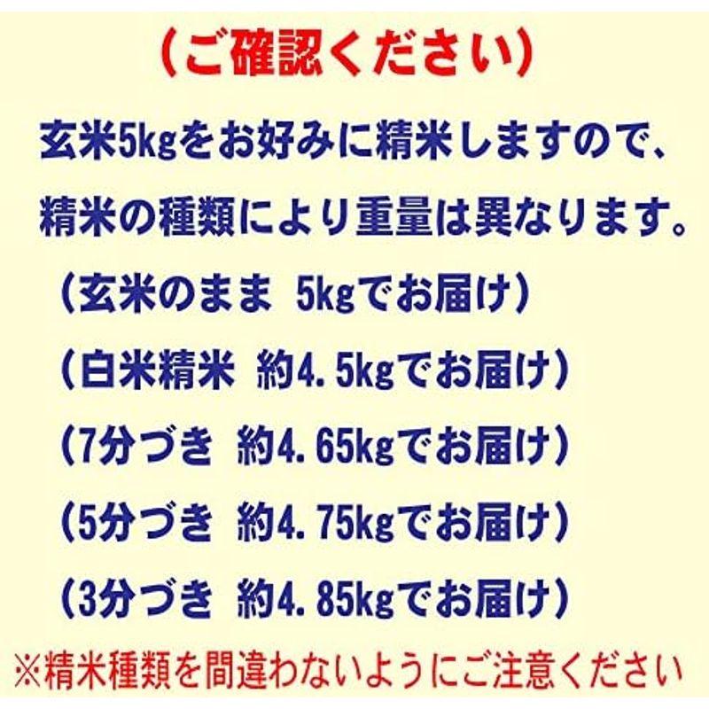 新米 令和5年産 丹波 篠山 コシヒカリ 5kg 兵庫産 (玄米のまま 5kgでお届け)