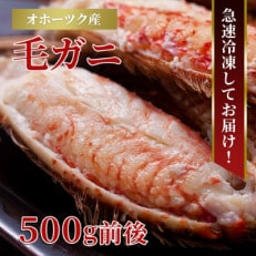 北海道産　毛ガニ　1尾　500g前後