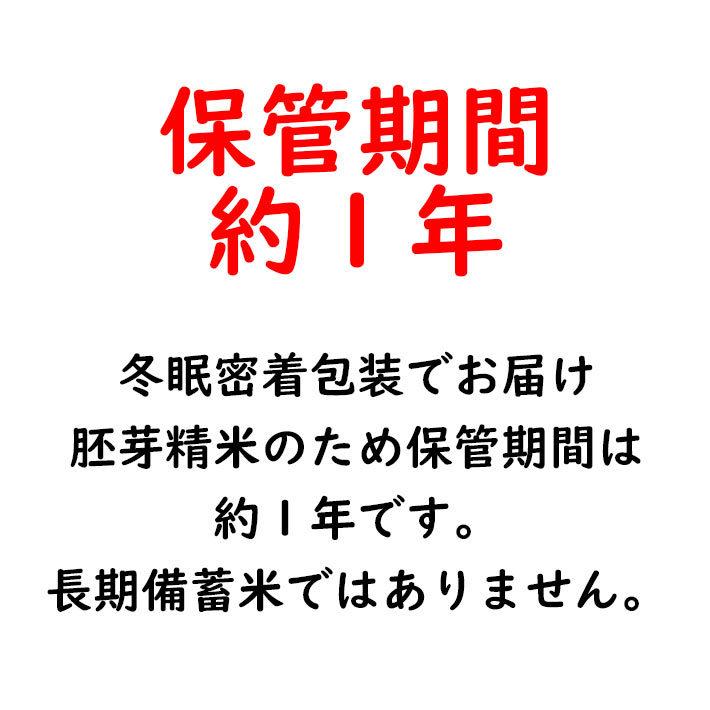 無洗米 10kg つや姫 胚芽精米 2kg x5 送料無料 山形県産 特別栽培米 冬眠密着包装 真空パック 東北食糧