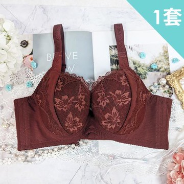 【蘇菲娜】台灣製秋楓初染月牙托提涼感高脅邊防副乳水餃口袋大罩杯機能內衣 成套組(C18 紅棕 粉)