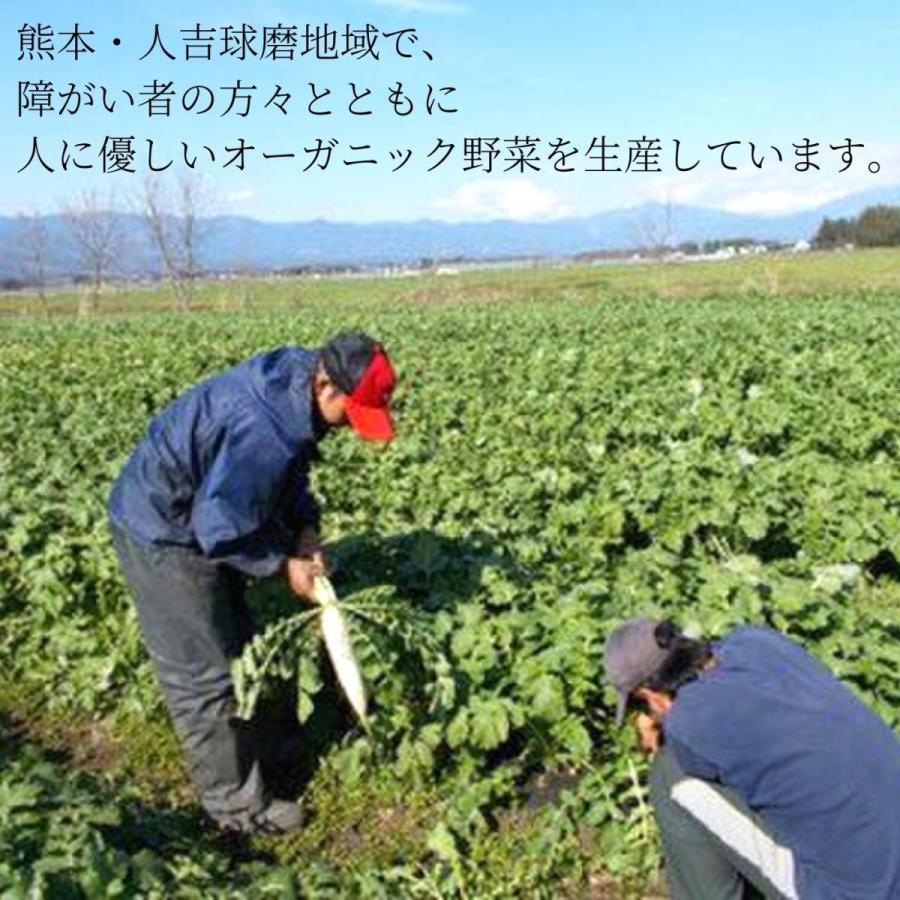 季節の有機野菜セット（新鮮　直送　農家直送　採れたて）