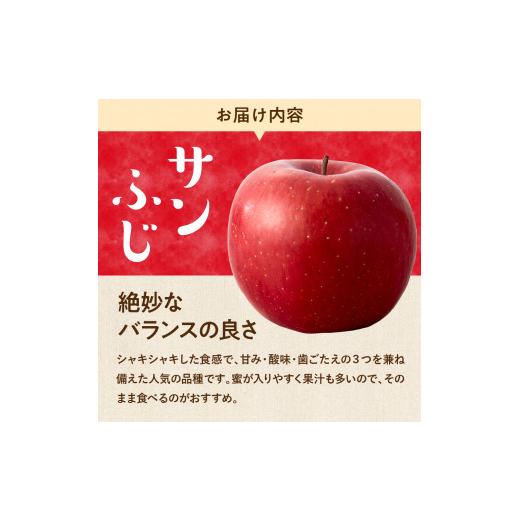 ふるさと納税 山形県 東根市 サンふじシナノゴールド＆ラフランス 詰め合わせ 5kg　東根農産センター提供