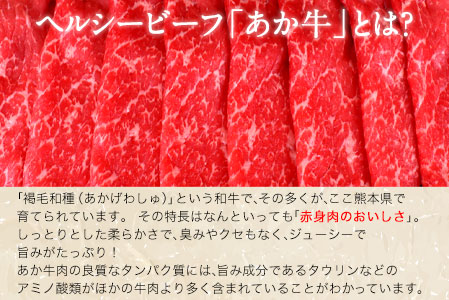 肥後のあか牛 すき焼き用 500g 長洲501 熊本 特産 あか牛《90日以内に順次出荷(土日祝除く)》