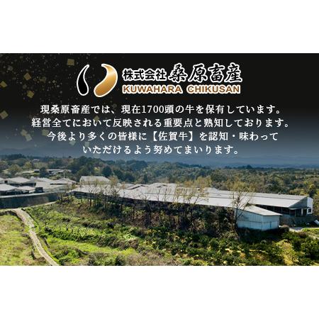 ふるさと納税 A5等級 佐賀牛 焼肉用 800g(400g×2P)佐賀牛ロース 佐賀牛モモ 佐賀牛ウデ 佐賀牛バラ.. 佐賀県鹿島市