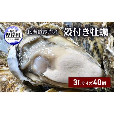 ふるさと納税 北海道 厚岸産 殻付き 牡蠣 3Lサイズ 40個 北海道厚岸町