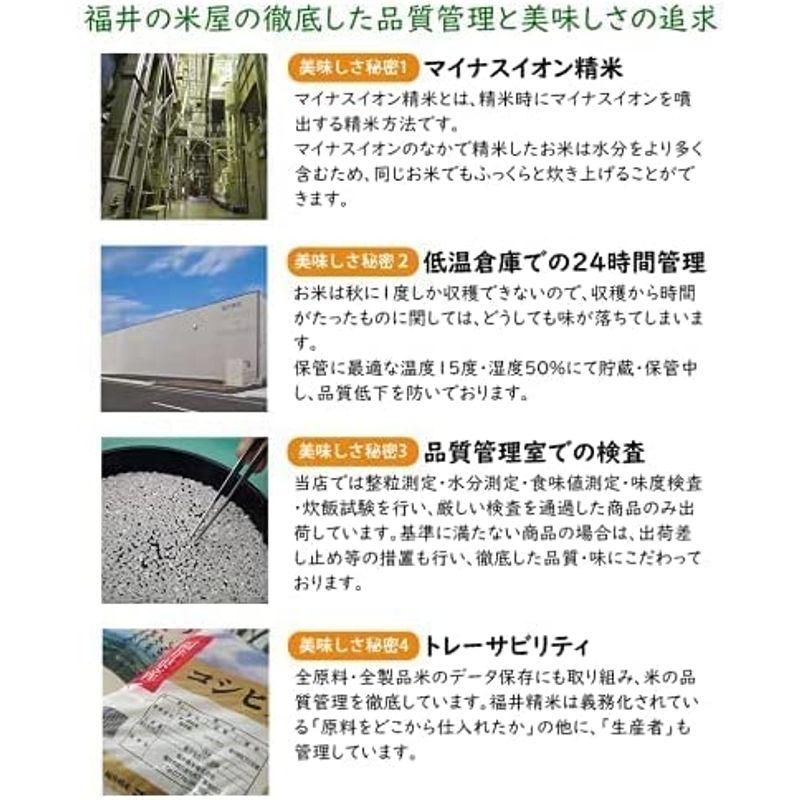 米 新米 福井県産福井米 白米 令和4年産 (30kg)