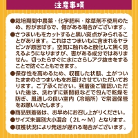 YX003 （土付き）福岡篠栗町産の熟成紅白さつまいも「紅はるか」５kg「くりこがね」５kgセット 2023年10月中旬より順次発送