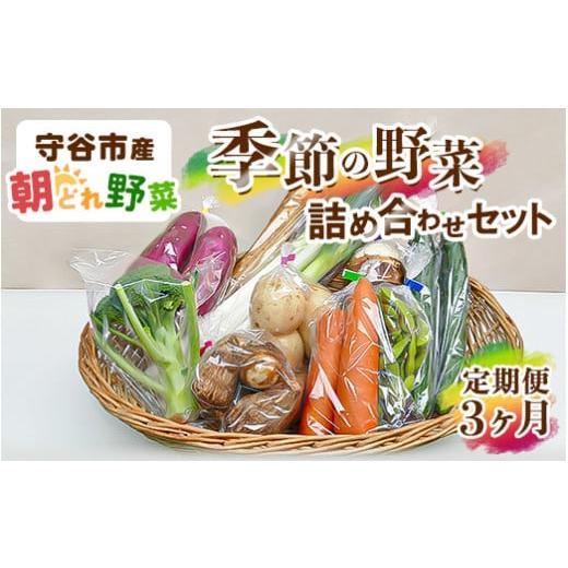 ふるさと納税 茨城県 守谷市 季節の野菜セット定期便