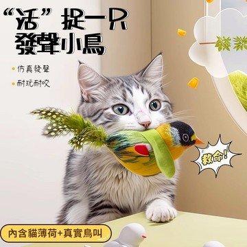 臺灣現貨/隔日達 貓咪發聲玩具 內置貓薄荷 逗貓神器 仿真會叫發聲小鳥 小鳥逗貓棒 貓咪自嗨玩具 貓咪解悶玩具 逗貓棒