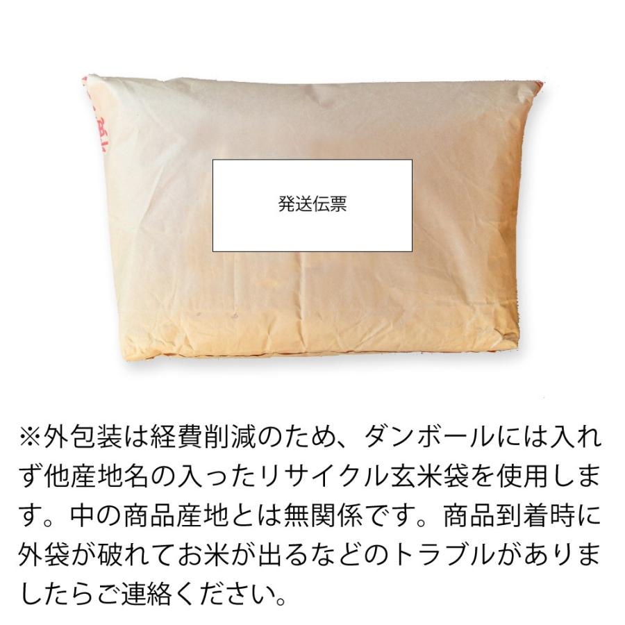 お米 10kg 米 とちぎの星 令和5年 栃木県産 業務用米 まとめ買い 新米