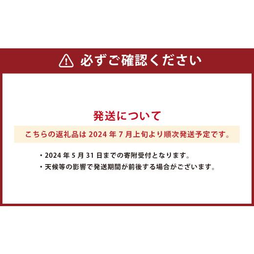 ふるさと納税 熊本県 熊本県産 ハウスみかん 約5kg 約48〜60個 蜜柑 ミカン 柑橘