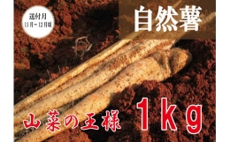 自然薯1kg