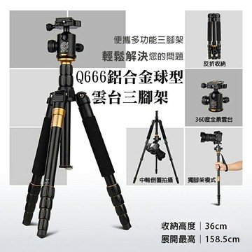 攝彩@Q666三腳架 黃金鋁合金反折三腳架 球型雲台 單眼 微單眼 類單眼皆適用 單腳架 獨腳架 板扣 可拆雲台【全壘打★APP下單 跨店最高20%點數回饋!!】