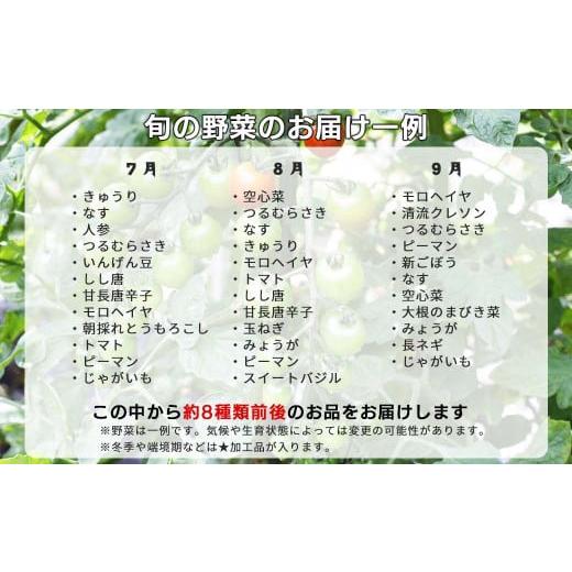 ふるさと納税 岡山県 西粟倉村 西粟倉産 「旬の野菜 おまかせセット」 F-FF-B01A