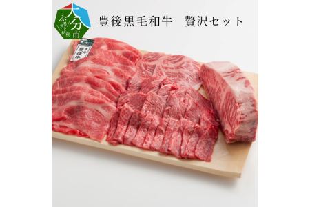 A01049　豊後黒毛和牛贅沢セット約2.6kg