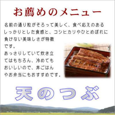 ふるさと納税 田村市  田村市産天のつぶ10kg(5kg×2袋)