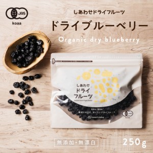 ドライブルーベリー (250g アメリカ産 無添加) 有機JAS認定 オーガニック 爽やかな酸味と豊富なアントシアニンが特徴 お試し ベリー ジャ