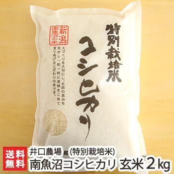 特別栽培米（減農薬・減化学肥料）南魚沼産 コシヒカリ 玄米2kg 井口農場 のし無料 送料無料