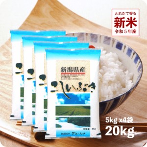 新米 20kg こしいぶき 令和5年産 お米  新潟県産 産直 精米 白米 5kgx4袋 ※沖縄への配送は別途送料