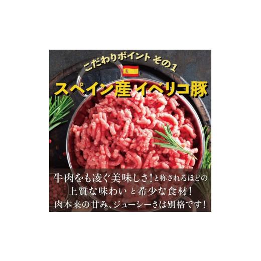 ふるさと納税 兵庫県 加古川市 コソラ餃子プレミアムギフトセット(コソラ餃子＆イベリコ豚と白ネギの餃子)