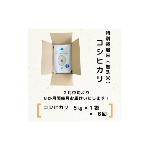 ふるさと納税 秋田県 にかほ市 特別栽培米コシヒカリ5kg×8回