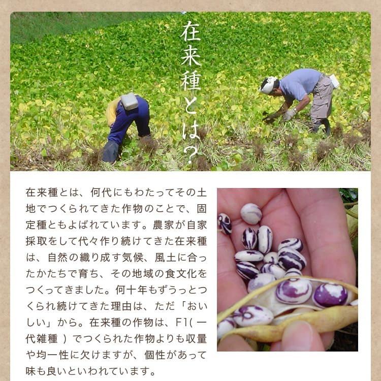 黒小豆北海道産 黒いんげん豆 在来種 農薬化学肥料不使用