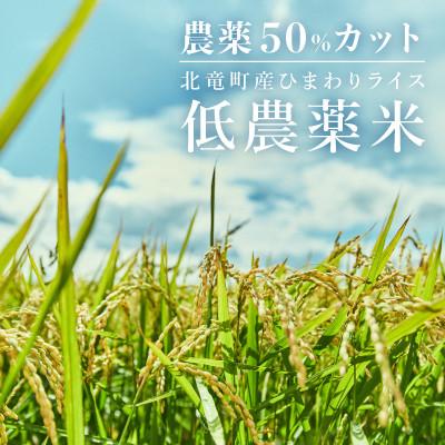 ふるさと納税 北竜町 ななつぼし 10kg 玄米 北海道北竜町産