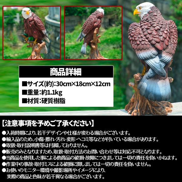 リアルイーグル 鷹 鷲 タカ ワシ 置物 大迫力 効果絶大 30cm 鳥よけ カラス スズメ ハト 害鳥 オブジェ ムクドリ ホーク