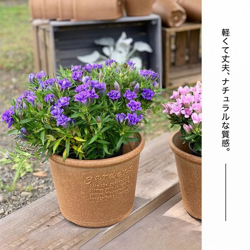 プランター 植木鉢 浅型 丸型 おしゃれ アンティーク プラスチック 6号