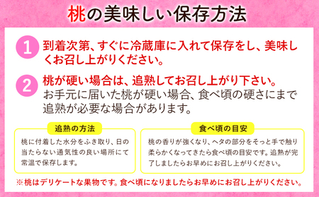  あら川の桃 約3kg 8-11玉 室谷青果 《2024年6月下旬-8月中旬頃より順次出荷》 和歌山県 紀の川市