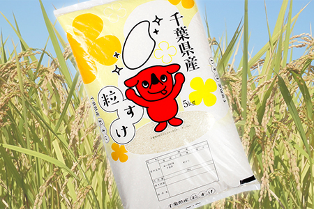 令和5年 千葉房総産「粒すけ」20kg（5kg×4袋）精米