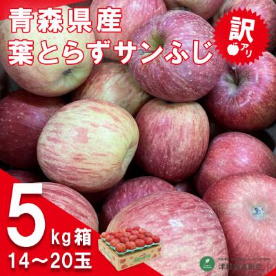 ふるさと納税 青森市 令和6年1月中旬より発送 訳アリ 葉とらずサンふじ5キロ箱 14〜20玉 津軽産直組合直送!