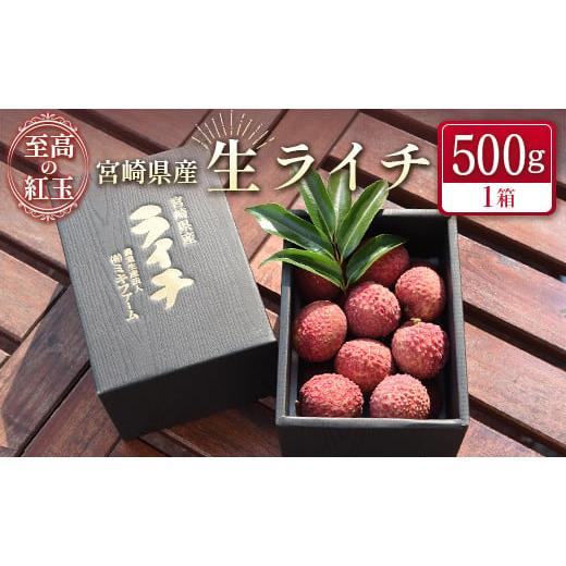 ふるさと納税 宮崎県 新富町 ＜限定100セット＞宮崎県産 生ライチ「至高の紅玉」500g