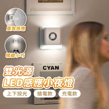 【Gooday✨新品優惠】雙光源人體感應燈 光控小夜燈 充電感應燈 插電小夜燈 插電感應燈 感應燈 感應小夜燈 走廊壁燈