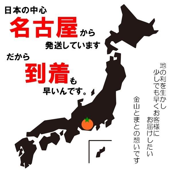 おつまみ 5種のミックスナッツ 700g 完全無添加、塩・油不使用 こだわりミックス