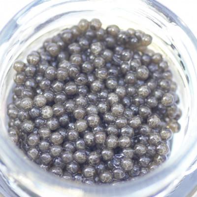 ふるさと納税 日向市 日向キャビア(Hyuga Caviar)20g (冷凍・フレッシュキャビア)