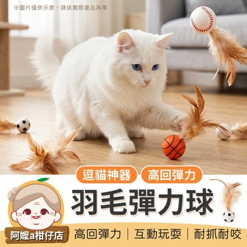 [貓咪最愛] 貓咪羽毛彈跳球 寵物羽毛彈力球 羽毛彈力球 逗貓彈力球 寵物彈跳球 逗貓球