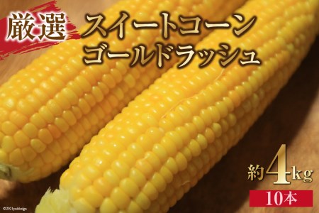 新鮮！甘い！スイートコーン ゴールドラッシュ10本「道の駅とよとみ」より厳選したものを出荷！[山梨県 中央市 21470245] とうもろこし トウモロコシ 野菜 季節限定 冷蔵