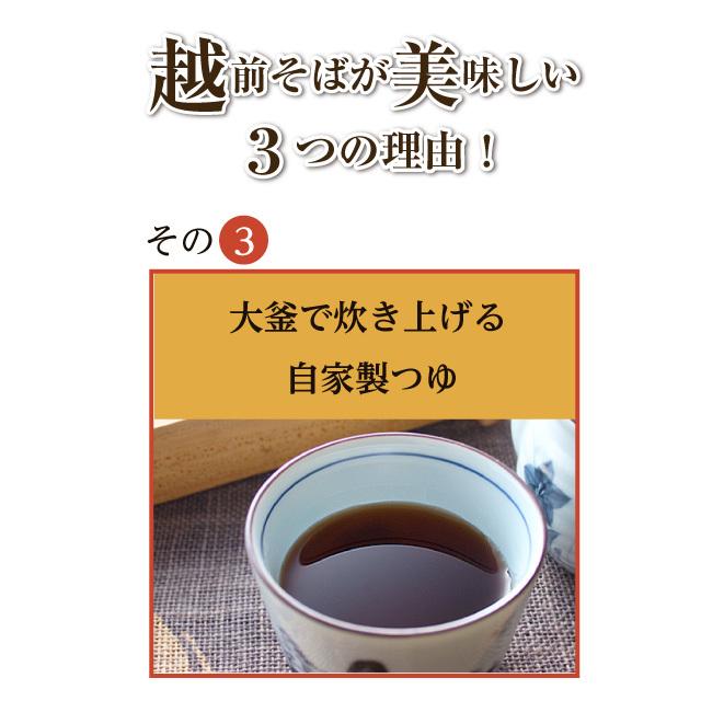 年越しそば「きつねそば」お歳暮 年越し 名物 そば 蕎麦 お取り寄せ 越前そば 厚揚げ 具材付きそば