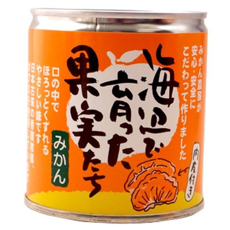 みかん缶詰 海辺で育った果実たち（愛媛産みかん100%使用） ×6缶セット