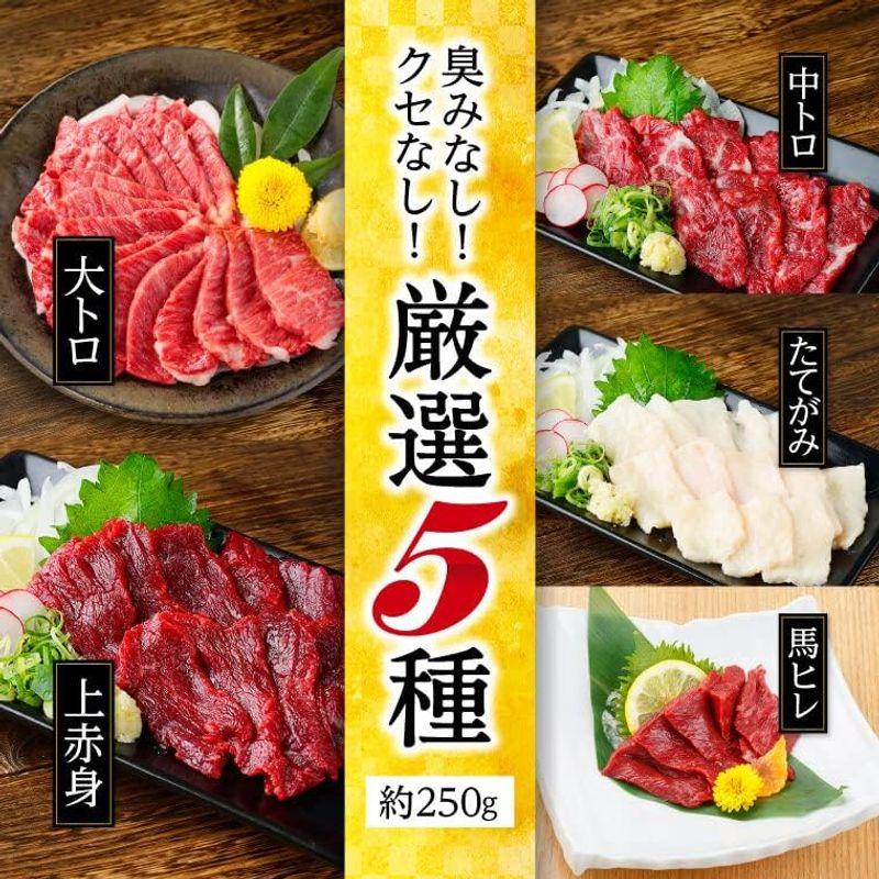 馬刺し 熊本 国産 5種食べ比べセット 熊本産 上赤身 たてがみ 霜降り 中トロ 大トロ ヒレ 小分け 5人前 250g 50g×5パック