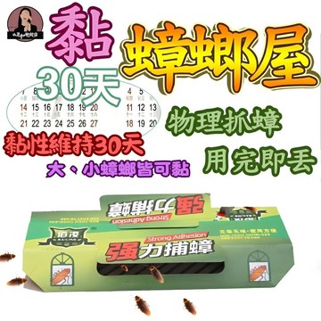 🔥台灣現貨24H出貨🔥 蟑螂屋 拋棄式 蟑螂盒 強力黏捕 黏蟑螂 黏蟑屋 紙盒黏螂屋 拋棄式蟑螂屋 組合蟑螂屋 蟑螂板