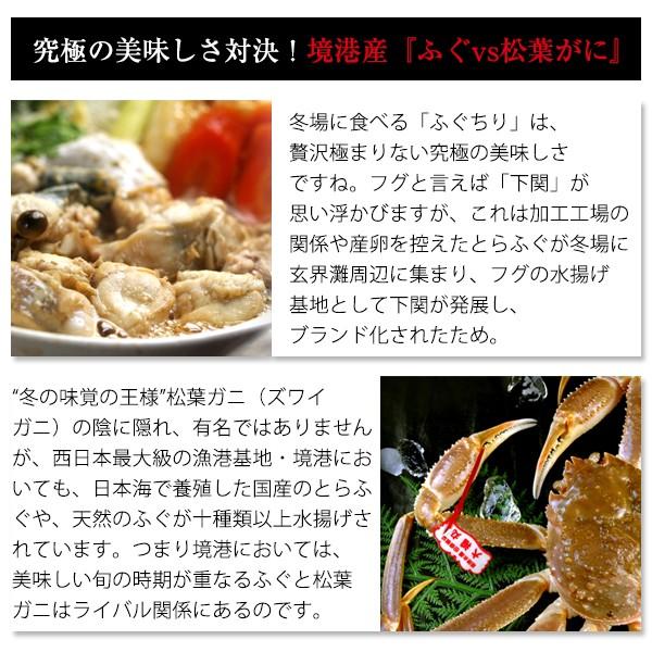 山陰境港産 とらふぐ（虎河豚 とらふぐ）生 ふぐちり・ふぐ刺しセット4〜5人前 送料無料（北海道・沖縄を除く）