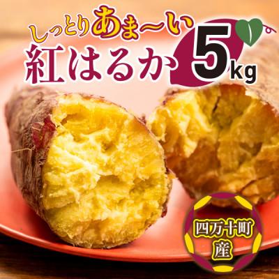 ふるさと納税 四万十町 1か月熟成でしっとり甘〜い!紅はるか5kg