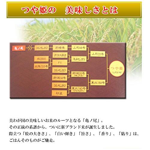  山形県 1等米 つや姫 白米 5kg×2 令和4年産